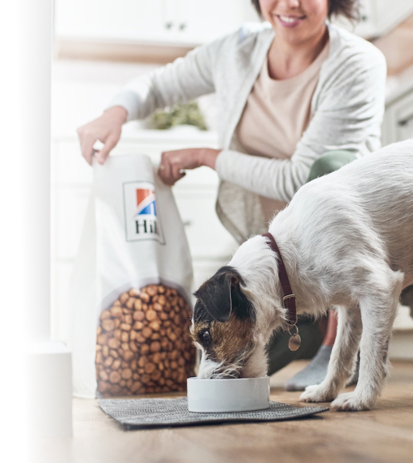 Hribi, kjer jedo pse