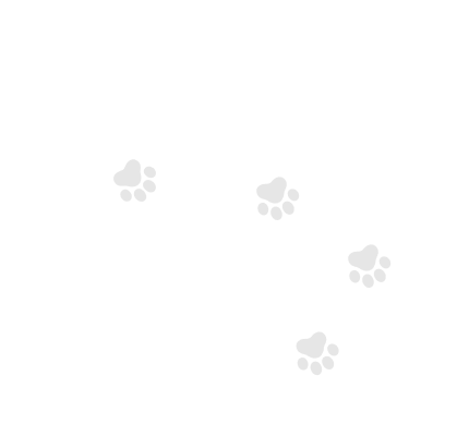 paw prints