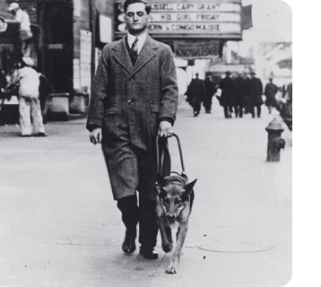 Morris Frank walking with his dog, Buddy